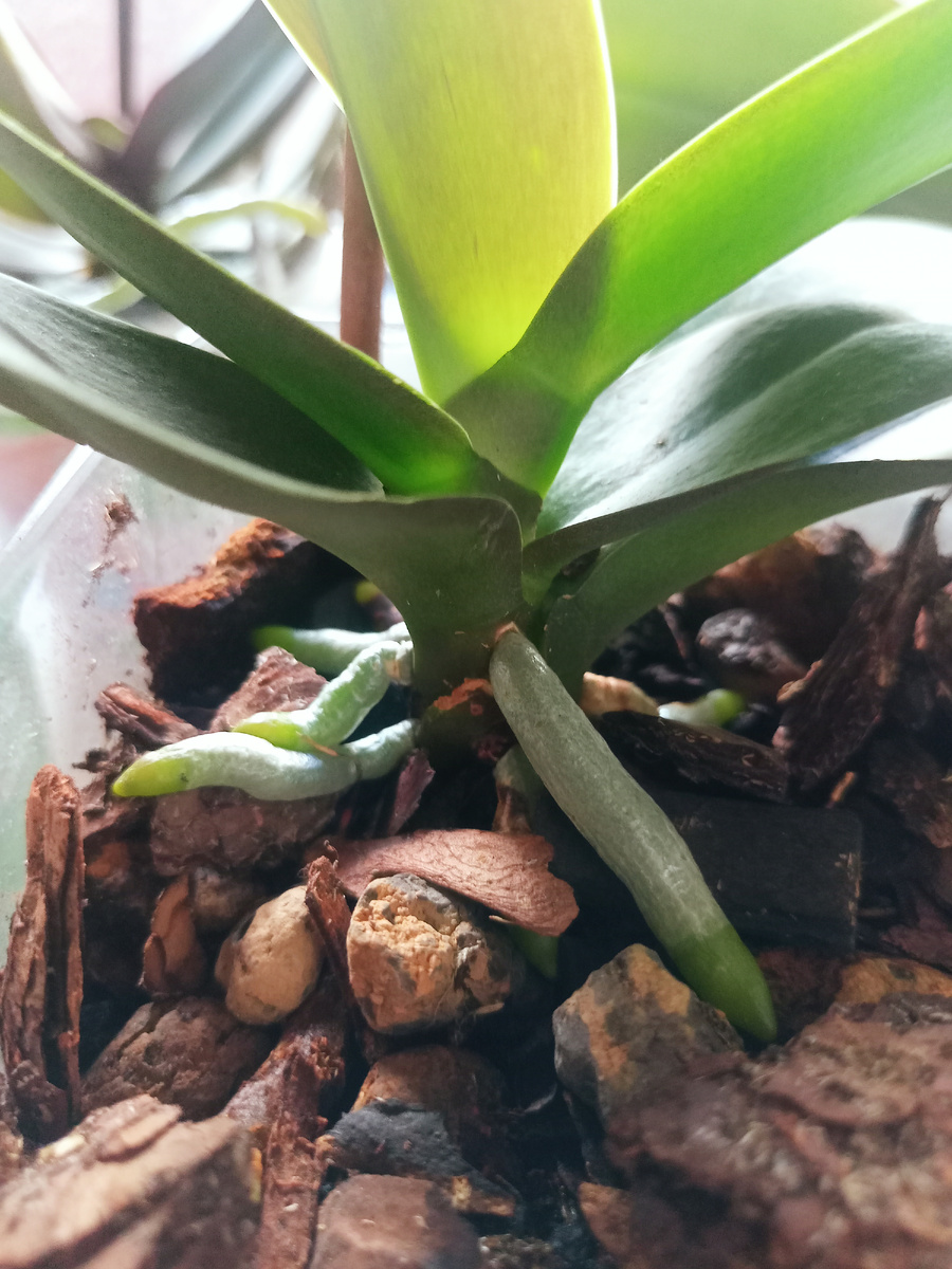 Что им ещё нужно, не понимаю!?