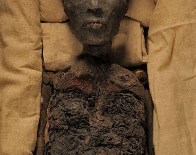 Как инцест и генетика определили судьбу Тутанхамона? ДНК тест раскрыл тайны.