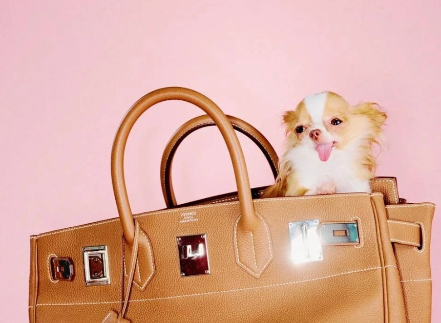 Обложка: Vogue