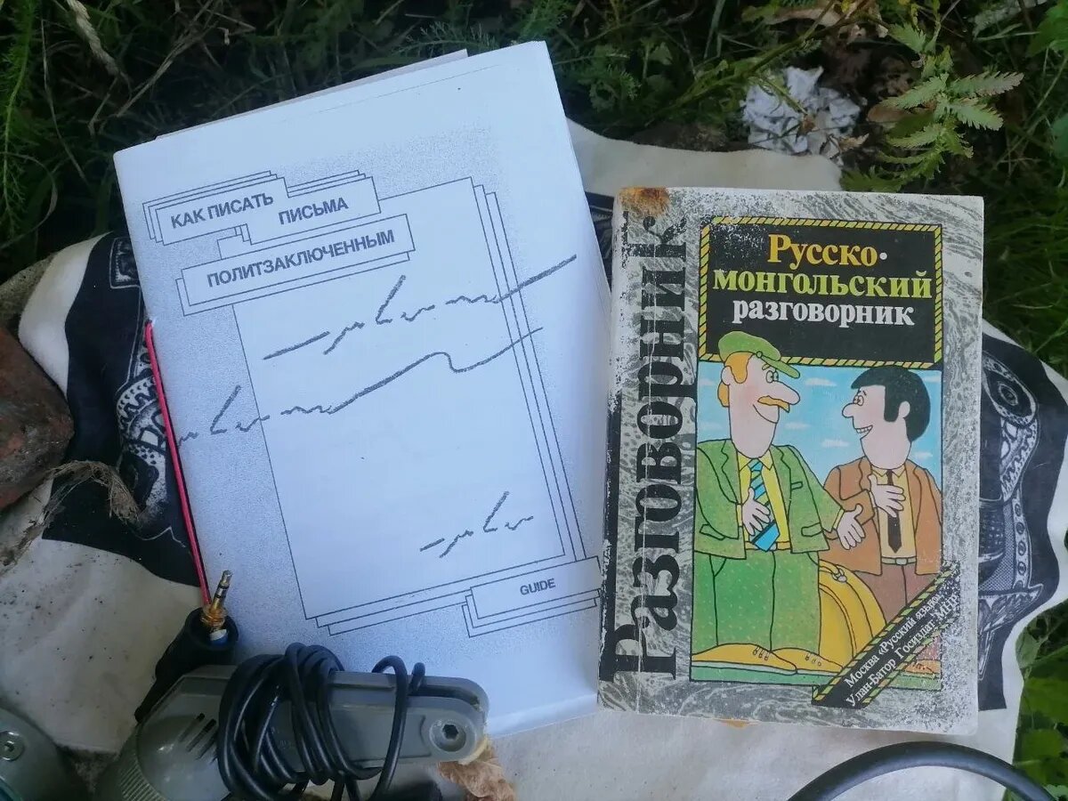 Уборка, своп, обращения в КГА - что угодно ради парка &quot;Заросли&quot;, ...