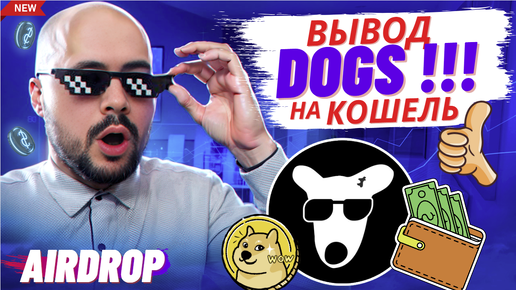 Dogs: подключение кошельков и вывод на биржи, показываю. Листинг догс. Ответы на вопросы