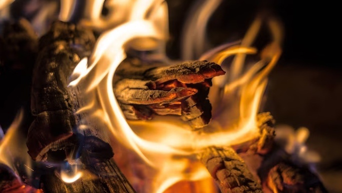    Фото: ru.freepik.com Екатерина Шахнина