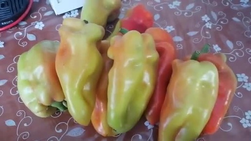 Как ускорить покраснение 🌶️🌶️🌶️ (Видео из архива)