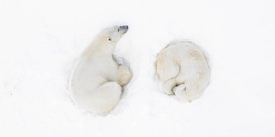 Человек и мировой океан на лучших фотографиях 2024 года