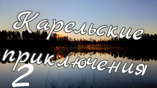 #Карельские приключения 2. Лес в окрестностях #Сегежи.