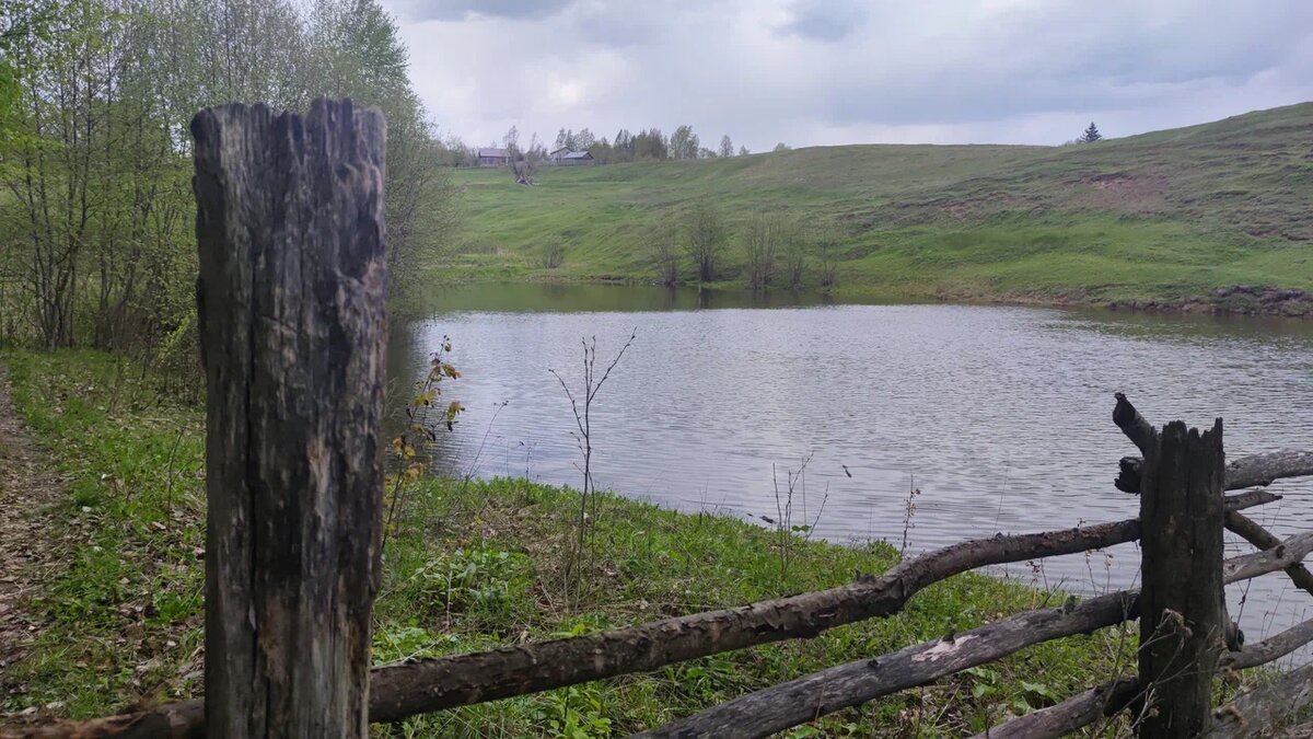 Территория дальше задней части участка. Свой личный спуск к пруду.