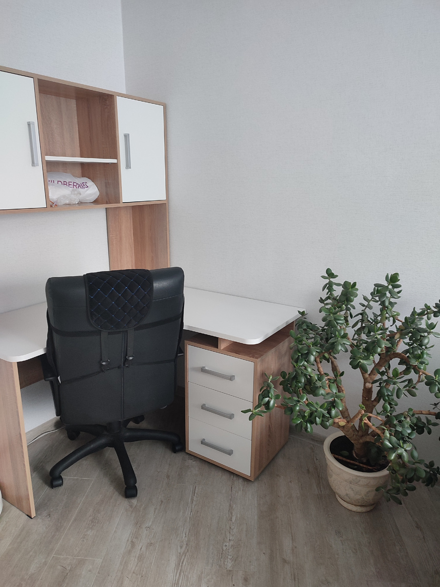 Цветок на фото принадлежал раньше свекрови, забрали себе после продажи ее квартиры. 