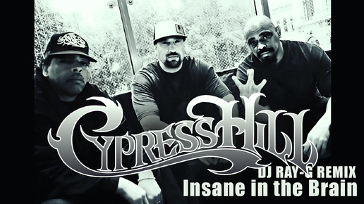 Cypress Hill - Insane in the Brain (Dj ray-g remix)