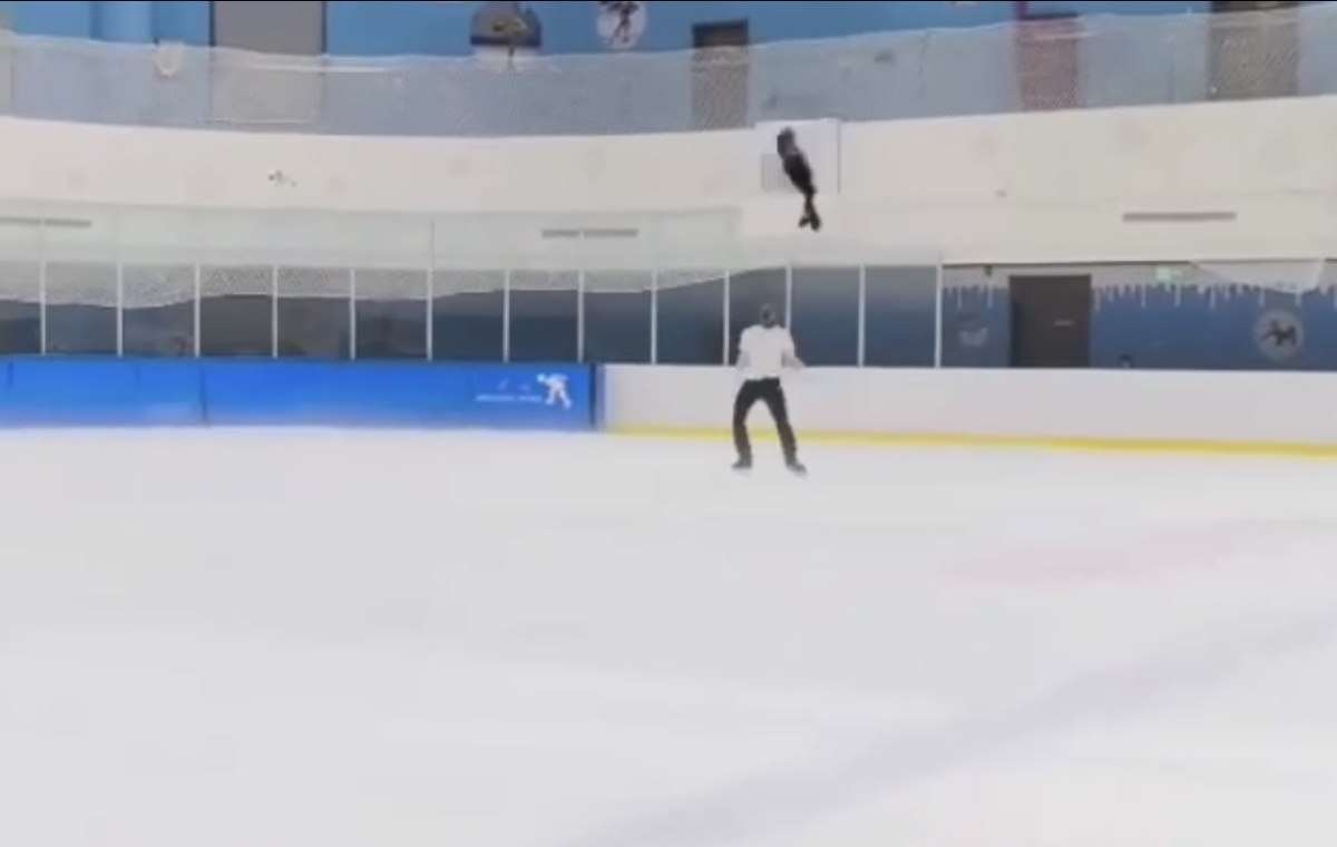 Фрагмент видео из тг-канала Ход Коньком 