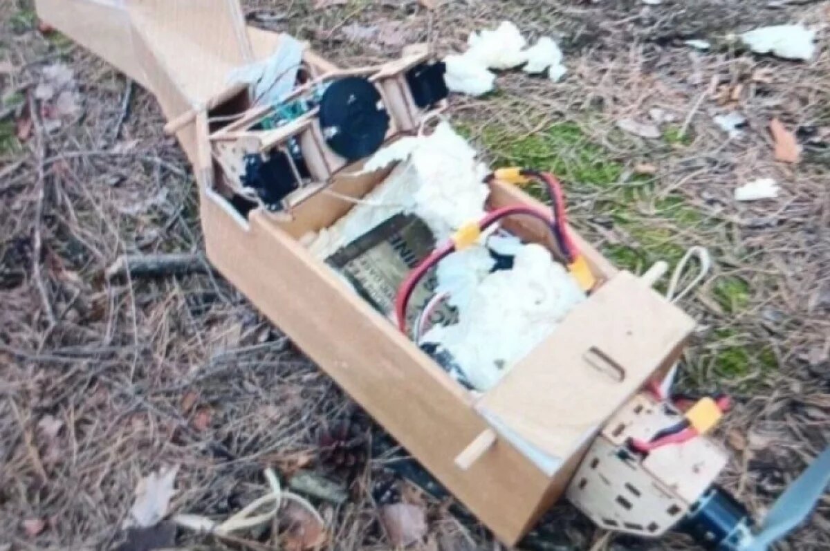    «ВО»: ВС России сбили украинский картонный беспилотник Corvo PPDS