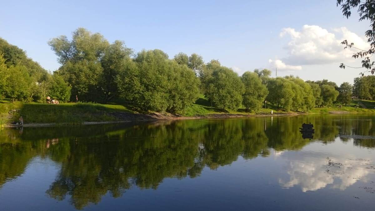 Такие шикарные виды я лицезрею и снимаю в нашем парке. Фото мое