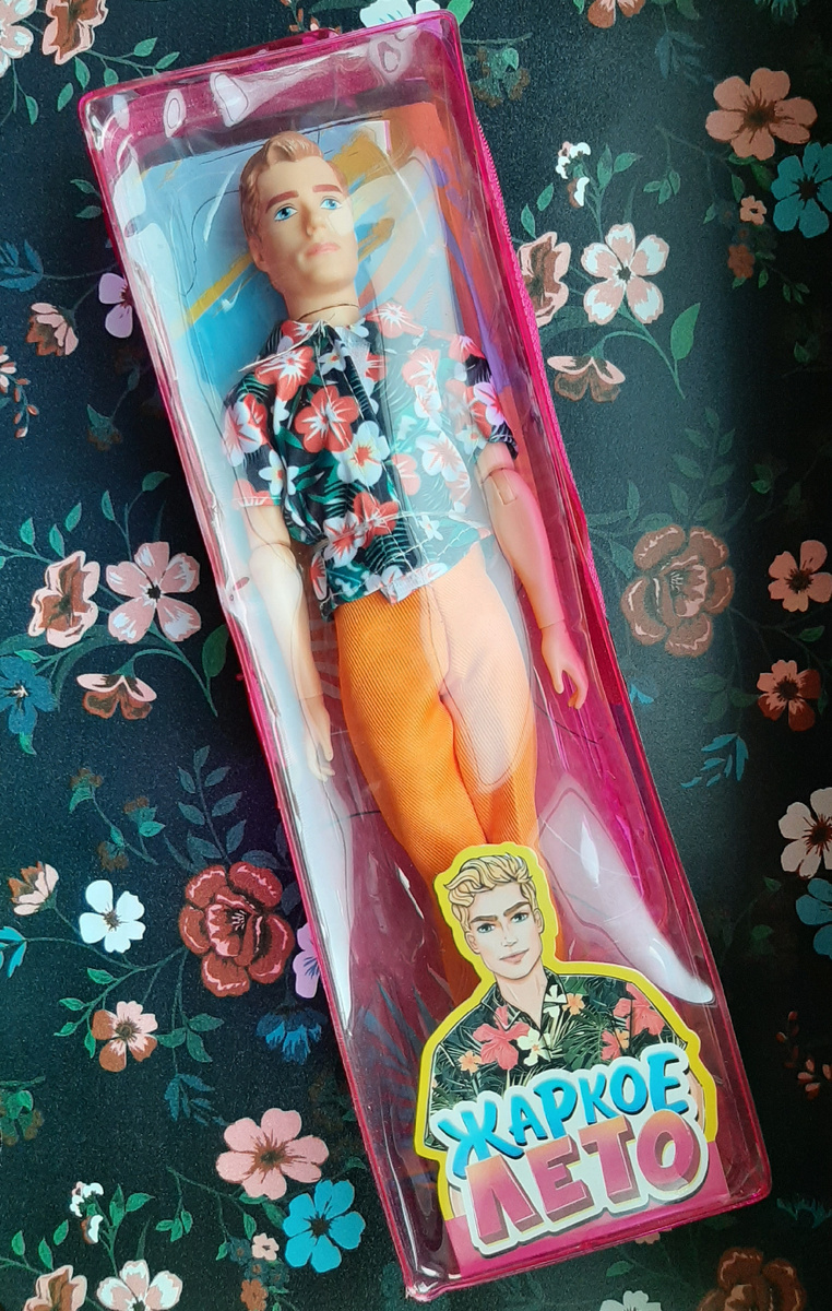 Кукла Happy Valley/Хэппи Вэлли - фото, обзор, шарниры, аутфит, тело, сравнение с Кеном  