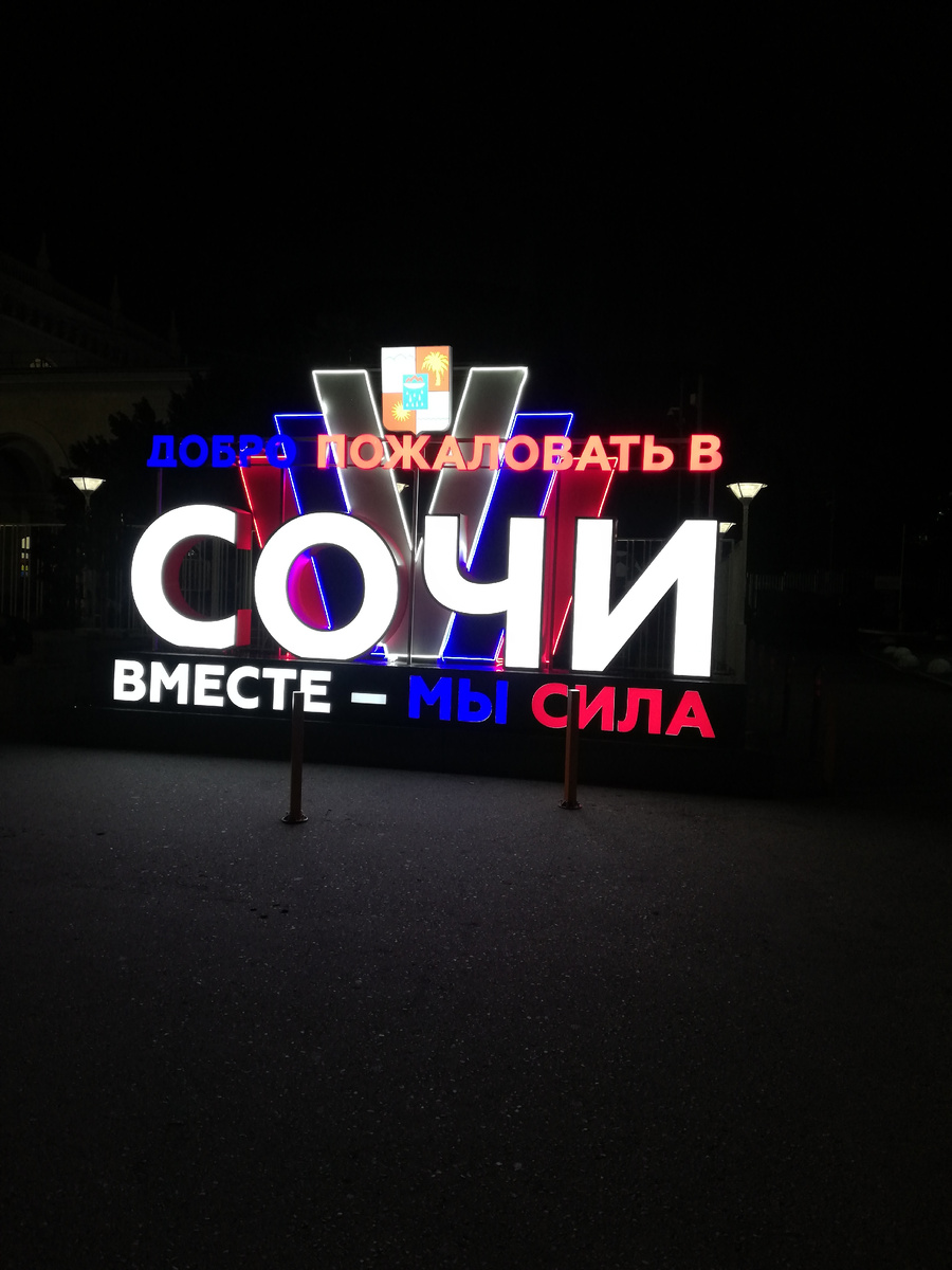 В город приехали уже затемно. 