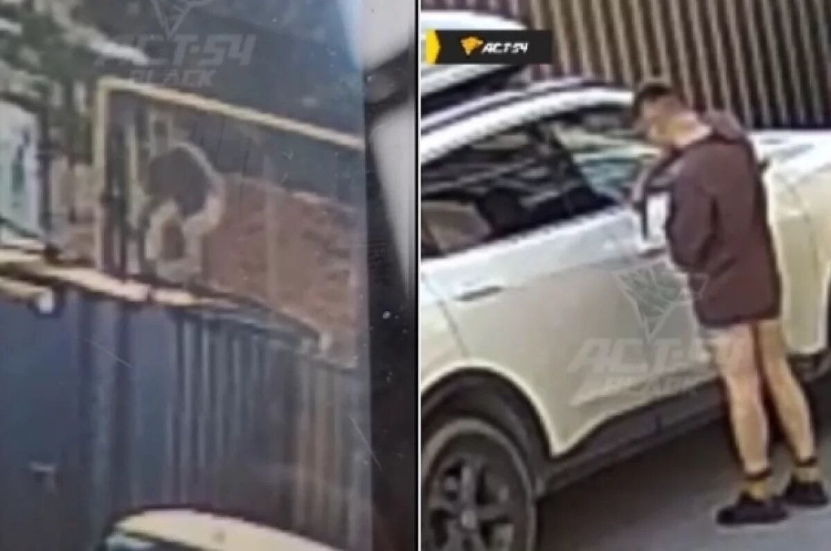    В Новосибирске вор без штанов перелез через забор и пытался вскрыть машины