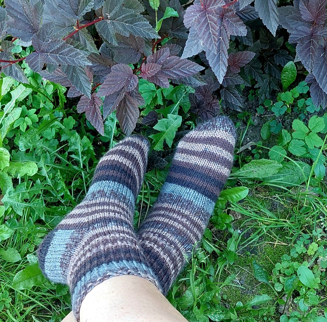 Носочки из Wooltime от Alize.