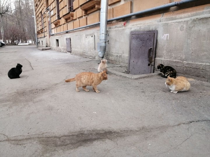     Фото: МК в Хакасии