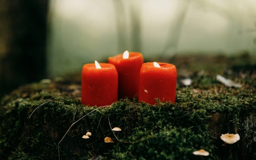    Гороскоп везения и удачи – каким знакам благоволят звезды на неделе с 19 по 25 августа 2024 года