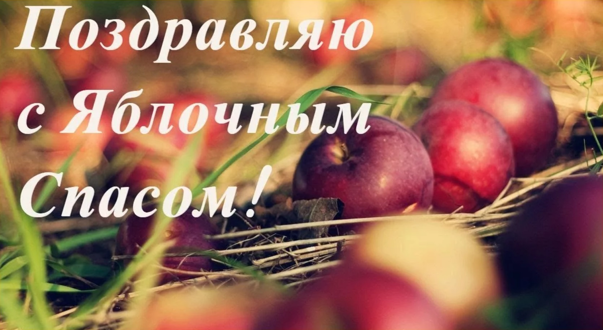 картинка из интернета
