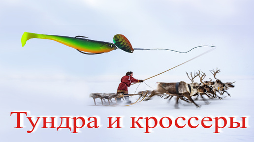 Тундра и кроссеры