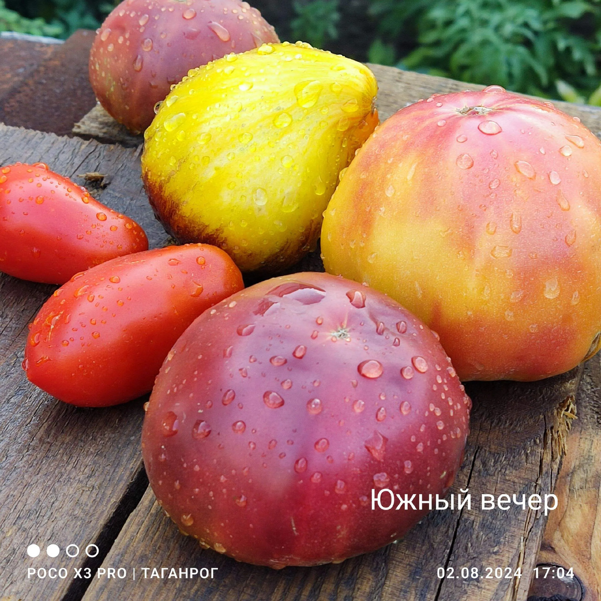 Великолепный Южный вечер!