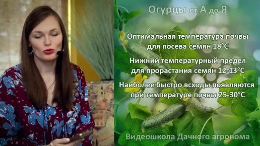 СДЕЛАЙ ЭТО И ОГУРЦЫ завалят урожаем