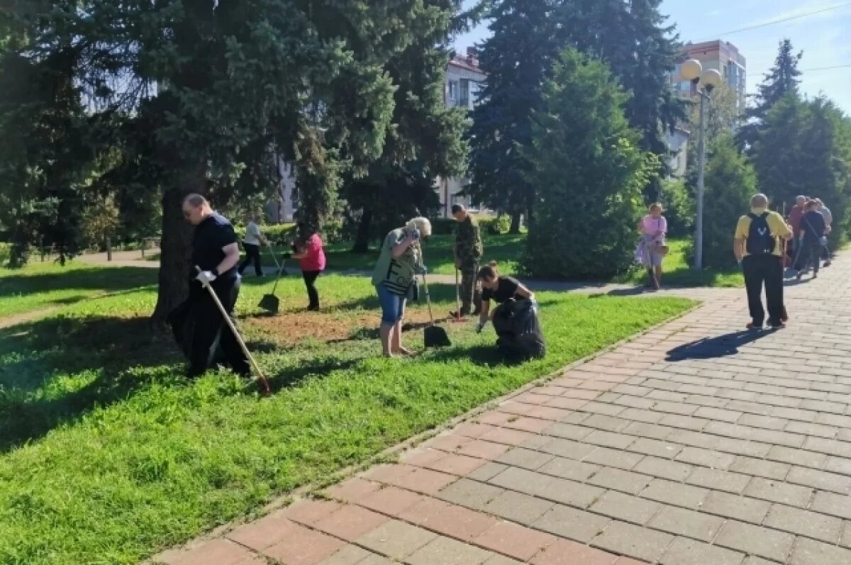    В брянской Бежице на месте свалки появился зеленый уголок