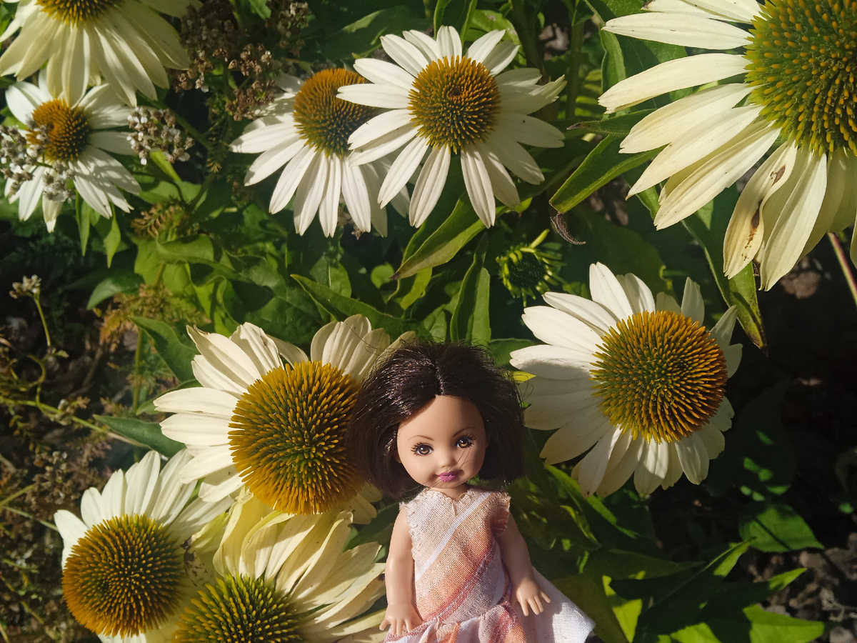 Света в саду. Фото автора.