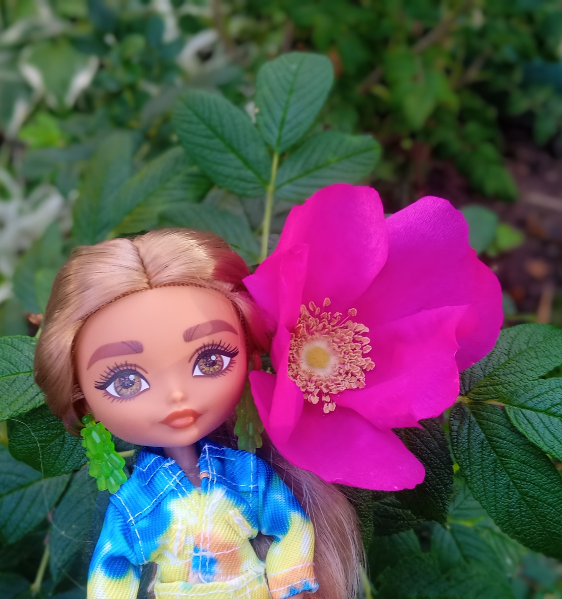 Мия и розовый кустик. Фото автора.