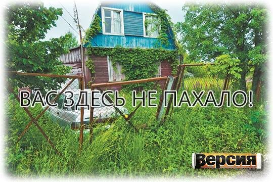    Вас здесь не пахало!