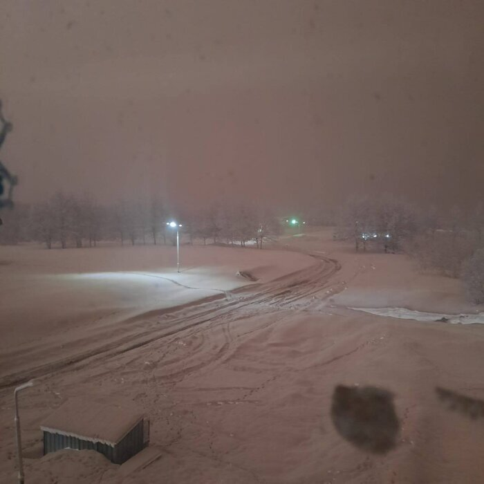 В мае 2023 года поселки Камчатки засыпало пеплом. Фото: телеграм-канал губернатора региона   