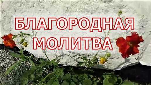 БЛАГОРОДНАЯ МОЛИТВА