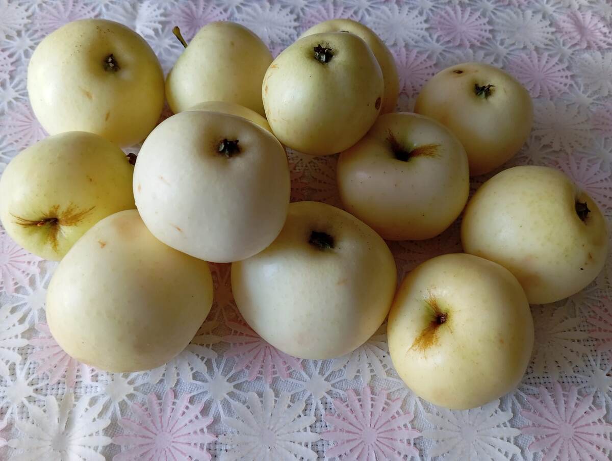 Вот они, яблочки.