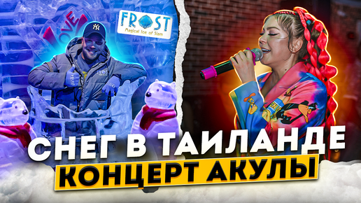 Где найти зиму в Таиланде. ДР After Party, концерт Акулы. Паттайя, Таиланд 2024