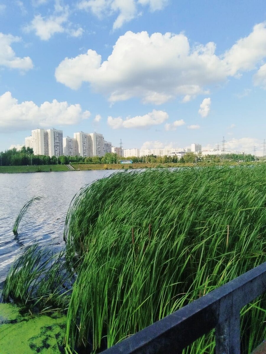 Очень живописные места в районе. Район получил своё название по селу Братеево. 