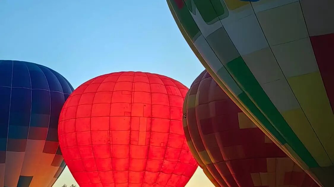     Автор: Юлия Т. Источник: vk.com/yuliyateplyashina