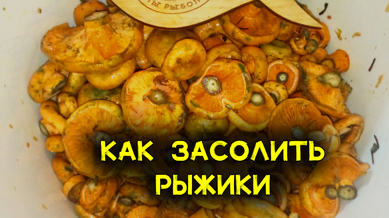 Как солить рыжики