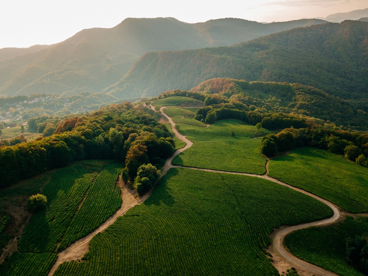 Фото: shutterstock