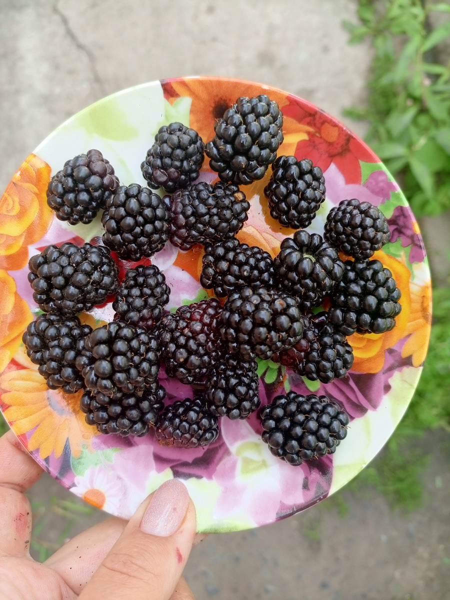 Фото сделано автором канала