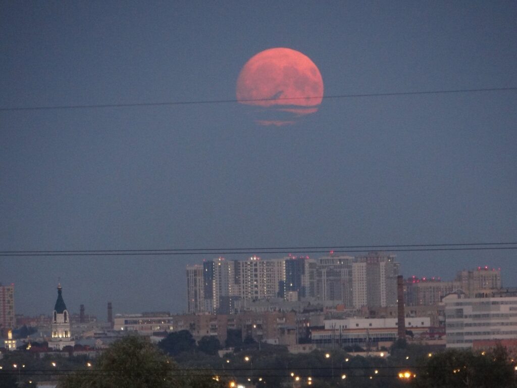    Фото: Женя Тейлор, vk.com/narayanjeni