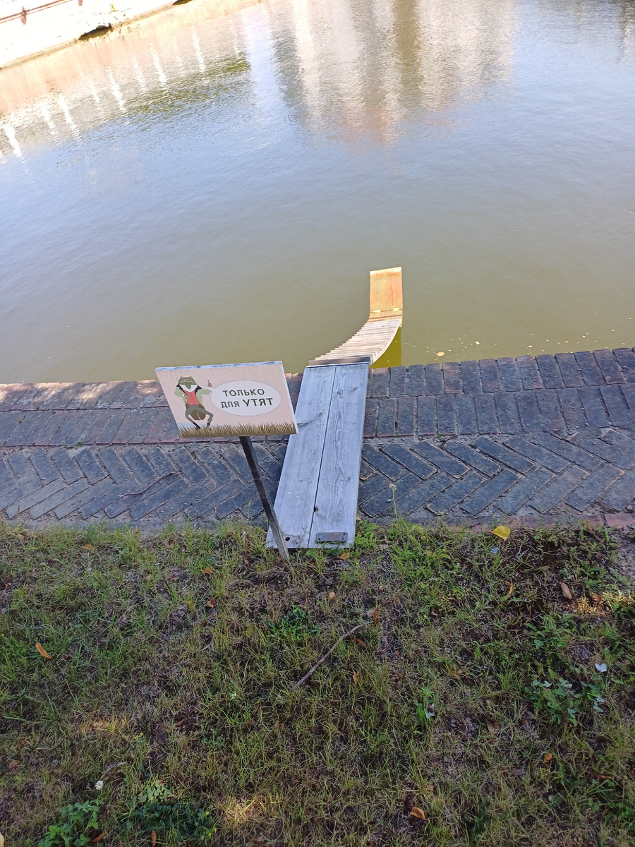 А жаль. Мне тоже хотелось