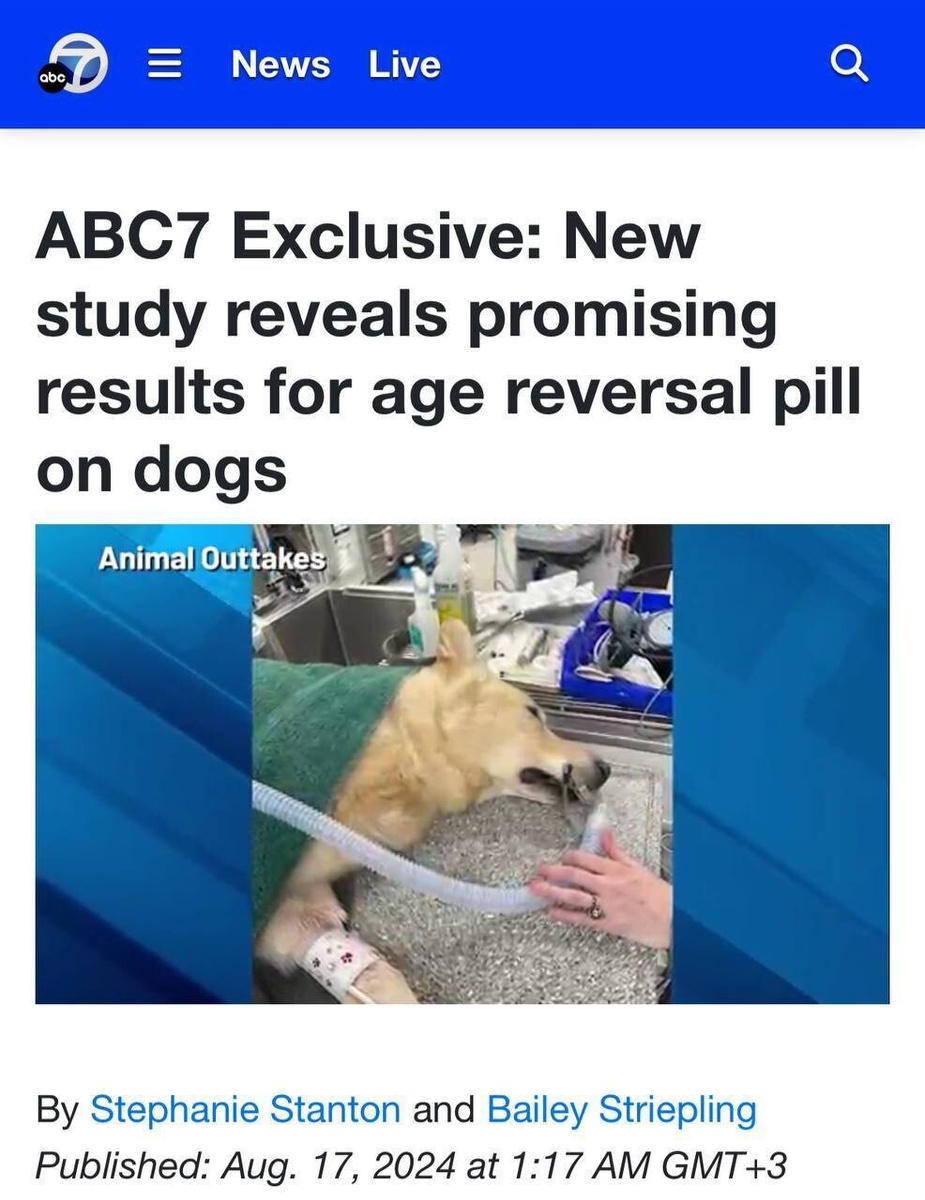 Лекарство протестировали на собаке 