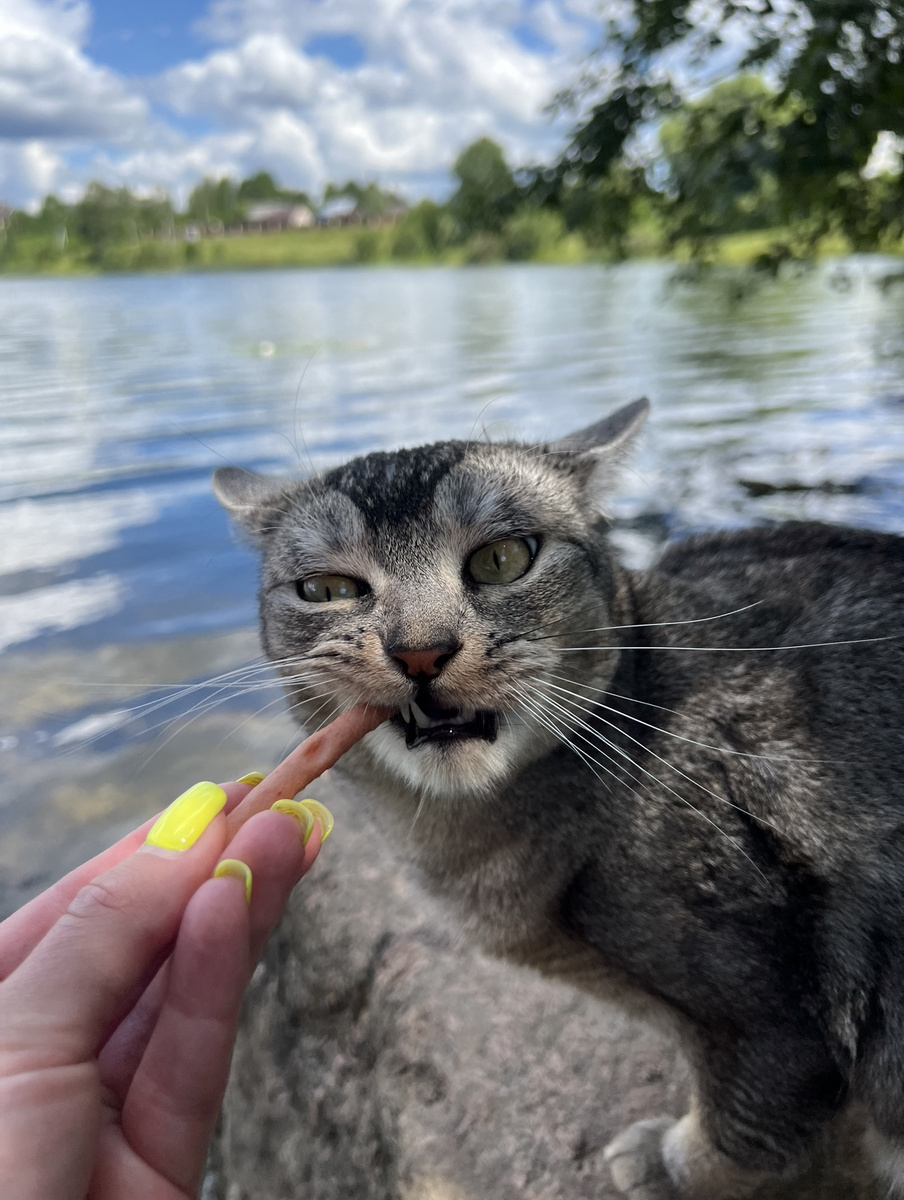 Вкусняшки по расписанию✅