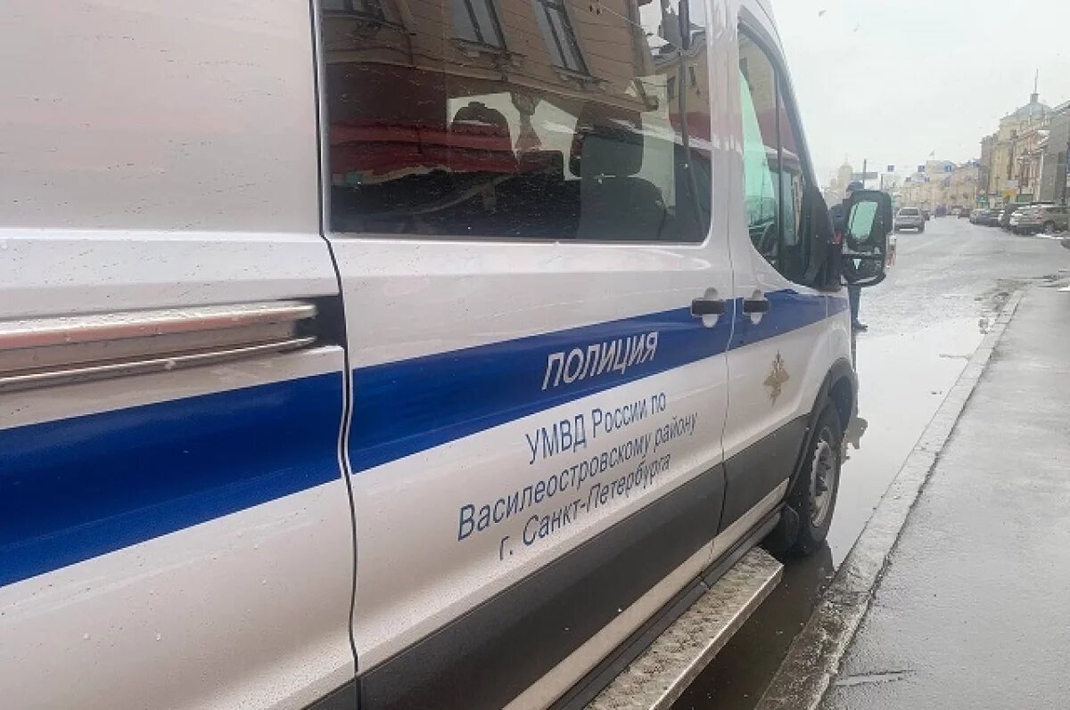    Москвичи устроили «перформанс» с нацистскими приветствиями в Петербурге