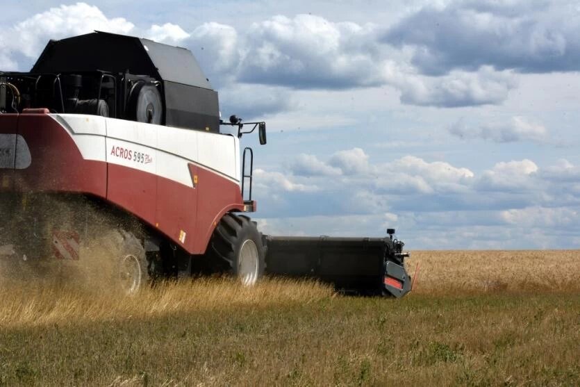 Фото: Минсельхоз Челябинской области