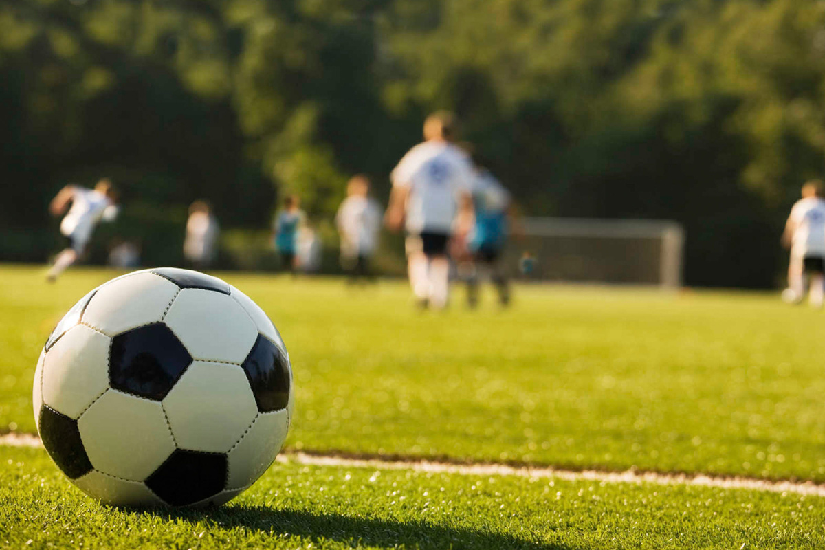 Картинка из свободного доступа 