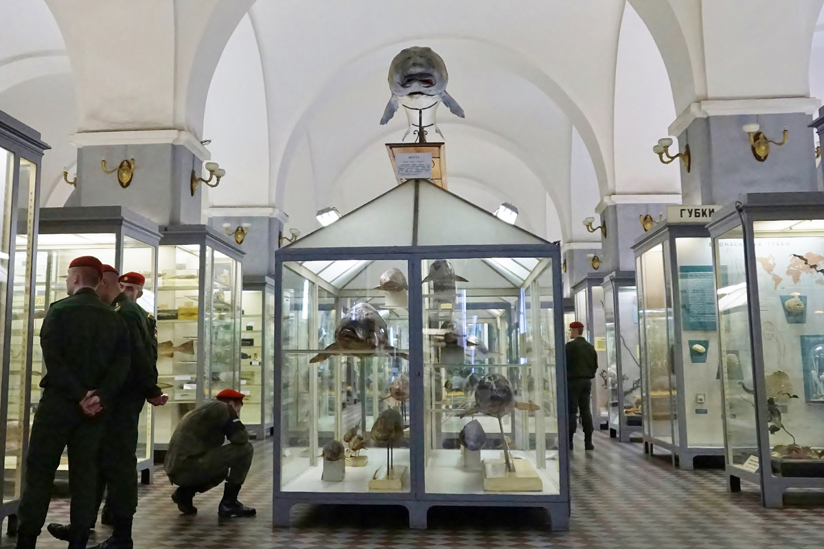 Фото автора.