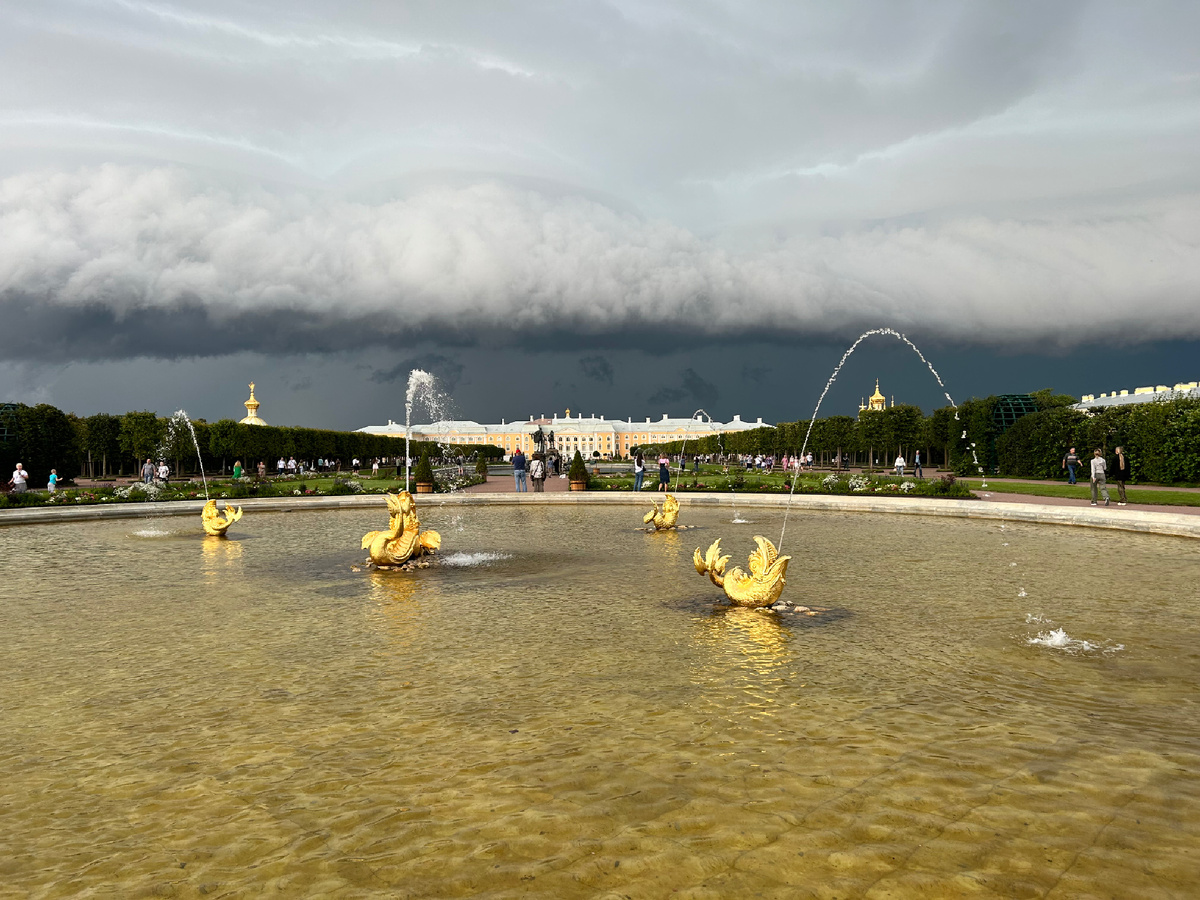 Туча надвигалась всё сильнее… и через совсем короткое время началась гроза