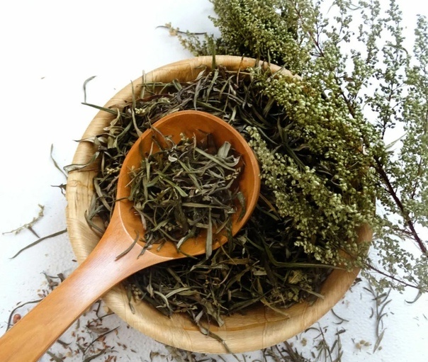 Полынь – растение с ярко выраженными желчегонными и противоглистными свойствами, которые способствуют активизации работы печени и желудка.  