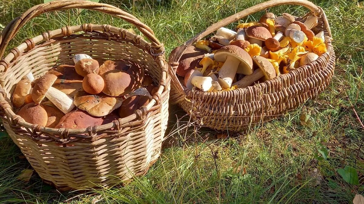     Источник: Вадим Мурый / vk