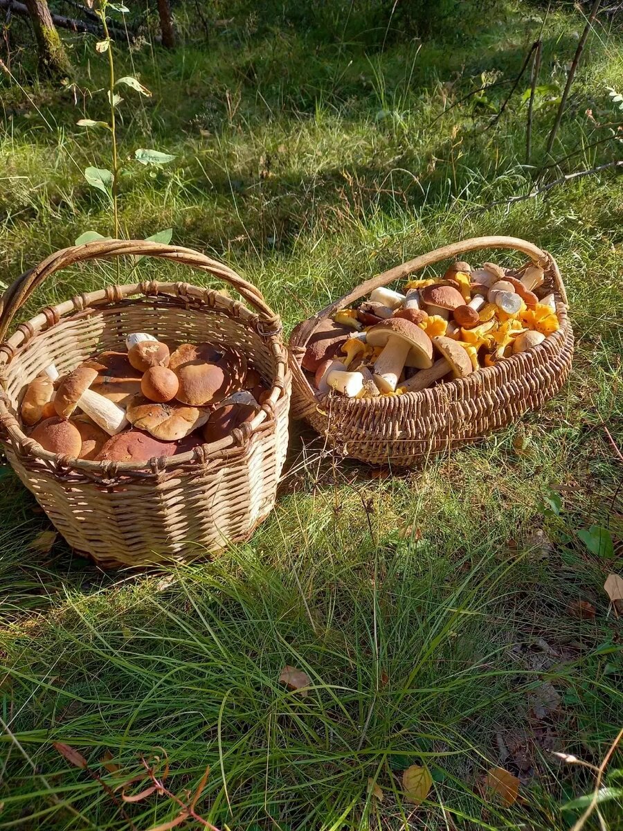     Источник: Вадим Мурый / vk